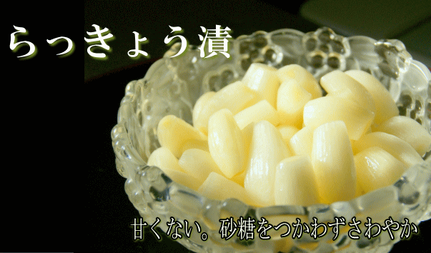 �������ݤ�ä��礦�ҡ����͹⻳�褷������ �������ݡ�ȯ�ڿ��ʡ�̵ź�á�̵������̵�����ʰ��������˸ż���ˡ�����������߽Ф�̣�ο��ߡ����͹⻳�褷������