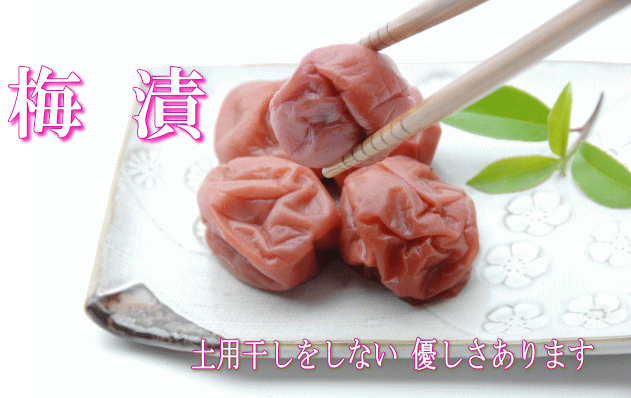 �褷������100g ���͹⻳�褷������ �������ݡ�ȯ�ڿ��ʡ�̵ź�á�̵������̵�����ʰ��������˸ż���ˡ�����������߽Ф�̣�ο��ߡ����͹⻳�褷������