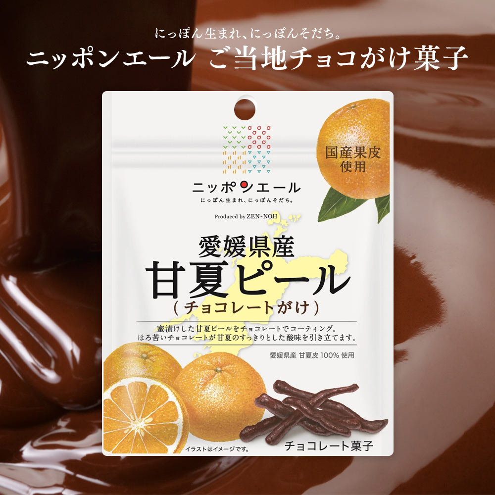 ニッポンエール チョコがけ菓子 愛媛県産甘夏ピール（チョコレートがけ） ご当地 お菓子 グルメ お土産 名産 全国農協食品のサムネイル
