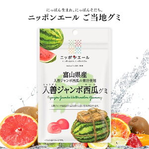 ご当地グミ ニッポンエール 富山県産 入善ジャンボ西瓜グミ ご当地 お菓子 グルメ お土産 名産 果実グミ 全国農協食品