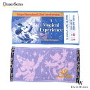 ミッキーマウス ミニタオル 東京ディズニーランド 42周年 ミッキーのフィルハーマジックがモチーフ ディズニーリゾート限定グッズ ギフト プレゼントにも