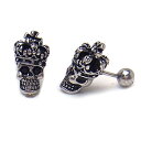 Zanipolo ザニポロ メンズアクセサリー ピアス ZTE2269ーBK エクセルワールド ギフト プレゼントにも おしゃれ アクセサリー TP20 父の日ギフトに