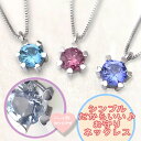 シンプルがいい あなたの思いを伝えるお守り ネックレス K10WG 誕生石 ネックレス ハート爪 JK420 エクセルワールド ギフト プレゼントにも おしゃれ...