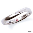 ザ キッス THE KISS ディズニーコレクション ディズニープリンセス ベル プラチナ マリッジ リング DI-7061104582 メンズリング(メンズ単...