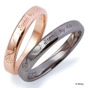 ザ キッス THE KISS ディズニーコレクション ディズニー ミッキー&ミニー シルバー ペア リング DI-SR1202-1 203 セット販売 ペアアク...