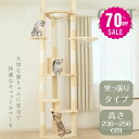 【70%OFF クーポン利用で6398円】 キャットタワー 突っ張り スリム 透明宇宙船 猫タワー 多頭飼い 爪とぎ おしゃれ 大型猫 麻紐 安定性抜群 猫ハウ...