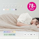 【78%OFF クーポン利用で2130円】予約販売受付中!ブランケット 夏用 夏掛け布団 肌布団 冷感 洗える 夏用布団 とろとろケット くしゅふわ レーヨンケット 肌掛け布団 シングル ダブル タオルケット 夏布団 とろーり おしゃれ 抗菌防臭 接触冷感 t-00001
