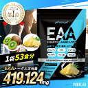 EAA (パイン味 キウイ味) 532g  約53回分 パウダー サプリ 必須アミノ酸 アミノ酸 HMB クレアチン グルタミン BCAA ロイシン バリン イソロイシン β-アラニン クエン酸 配合 トレーニング ダイエット 日本製