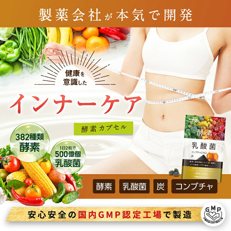 乳酸菌 酵素 サプリ 【1位獲得★栄養機能食品】 サプリメント 炭 チャコール コンブチャ こんぶちゃ ファスティング 酵素サプリ 生酵素サプリ 粒 生酵素 食物繊維 腸内環境 MCTオイル ローヤルゼリー チアシード アロエベラ excitech-10000057 いいねONLINE公式 楽天市場店 サンプル画像3