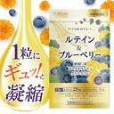PURELAB ルテイン&ブルー...