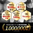 excitech:10000151のサンプル画像3