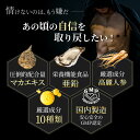 excitech:10000266のサンプル画像3