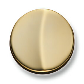 EX-702-G ゴールド 21mm /[EXCY最高級ボタンコレクション]