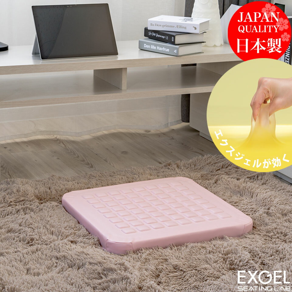 新製品 ＼テレワーク人気アイテム／ エクスジェル メーカー公式 EXGEL オザブ AZB01 日本製 座布団 クッション ジェルクッション 床用 床生活 フロアライフ 腰 姿勢 腰痛 腰痛対策 体圧分散 骨盤 プレゼント ギフト テレワーク