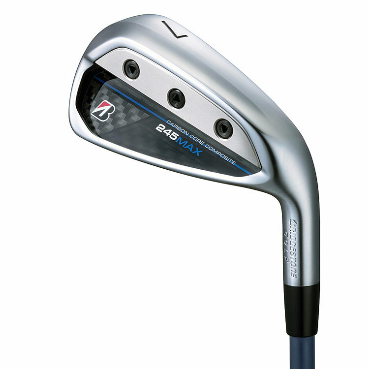 【メーカーカスタム】ブリヂストン 245MAX 単品アイアン (#6、AW、SW) 右用 Dynamic Gold スチールシャフト BRIDGESTONE GOLF 2024 2