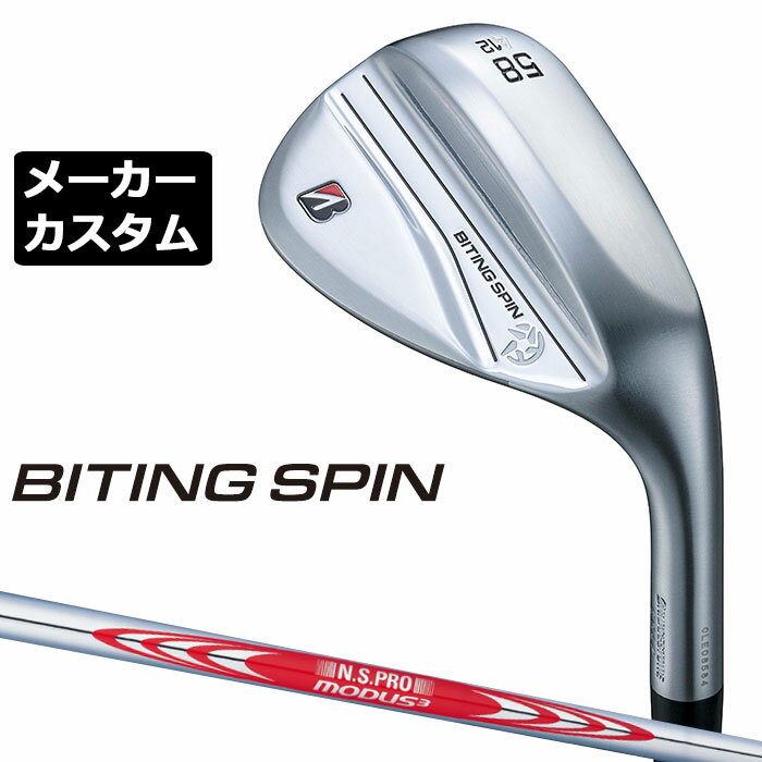 ڥ᡼ۥ֥¥ȥ BITING SPIN å  N.S.PRO MODUS3 TOUR 120 륷ե ...