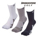 ブリヂストン ゴルフ 3D ベーシック 3D BASIC レギュラー 5本指 ソックス メンズ SOG314 2023年モデル BRIDGESTONE GOLF