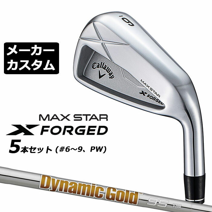 乐天商城 - メーカーカスタムクラブ キャロウェイ X FORGED MAX STAR アイアン 5本セット (#6-PW) 右用 2025 Dynamic Gold 95 スチールシャフト 日本正規品 Callaway