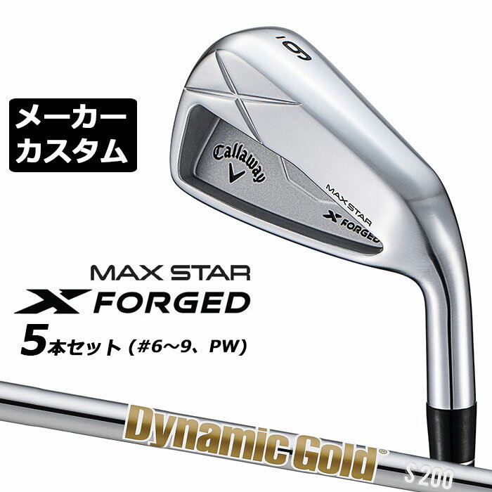 乐天商城 - メーカーカスタムクラブ キャロウェイ X FORGED MAX STAR アイアン 5本セット (#6-PW) 右用 2025 Dynamic Gold HT スチールシャフト 日本正規品 Callaway