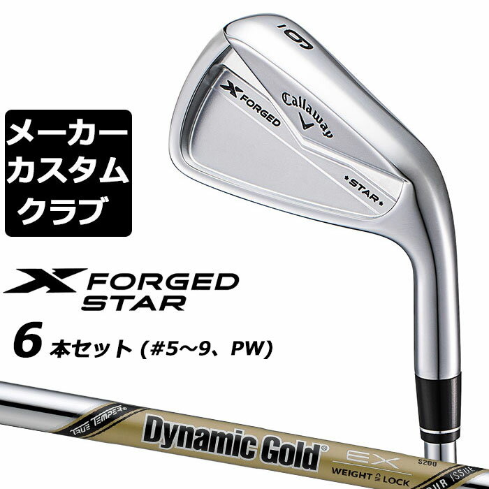 y[J[JX^zLEFC X FORGED STAR 2024 Ep ACA 6{Zbg (5-PW) Dynamic Gold EX TOUR ISSUE X`[Vtg {Ki Callaway