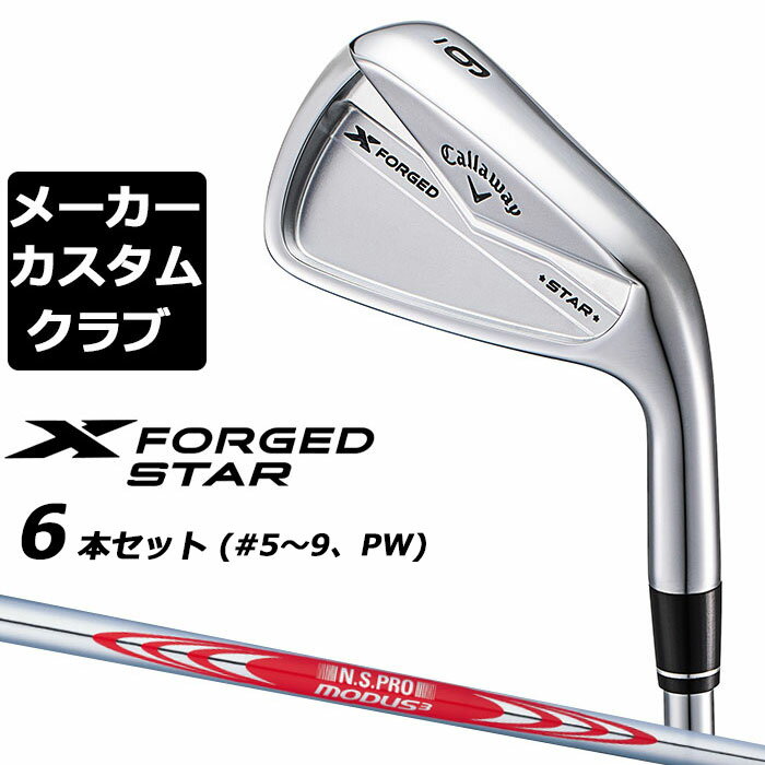 ڥ᡼ۥ X FORGED STAR 2024   6ܥå (5-PW) N.S.PRO MODU...