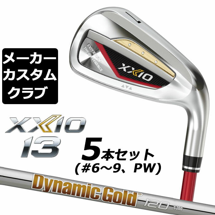 ڥ᡼ۥå  13 å   5ܥå(#6-PW) Dynamic Gold 120 ...