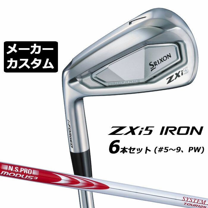 ᡼९ å SRIXON ZXi5   6ܥå(#5-PW) N.S.PRO MODUS3 SYST...