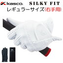 Kasco(キャスコ) SILKY FIT -シルキーフィット- メンズ ゴルフ グローブ GF-17251R (レギュラーサイズ/右手用)