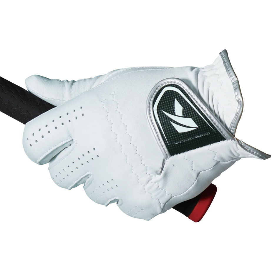 キャスコ DNA SHEEP グローブ 左手用 メンズ GF-2012 天然皮革 ゴルフ Kasco