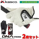 ネコポス便送料無料 2枚セット キャスコ DNA STRONG ゴルフ グローブ 左手用 メンズ SFST-2312SC 全天候型 Kasco ディーエヌエー ...