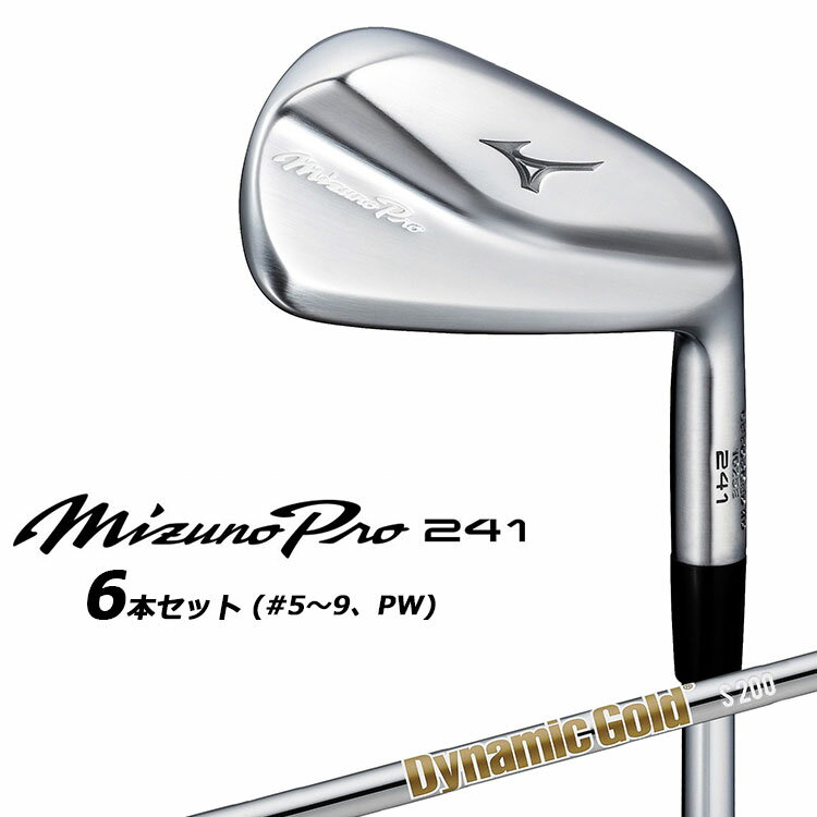 ߥ MIZUNO PRO 241  ߥ ץ 6ܥå(#5-PW)  Dynamic Gold HT 륷...
