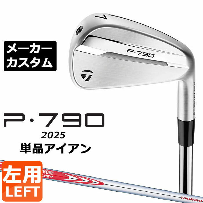 ᡼९ ơ顼ᥤ P790 2025 ñʥ  N.S.PRO MODUS3 TOUR 120 륷...