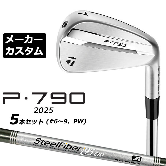 ᡼९ ơ顼ᥤ P790 2025  5ܥå(#6-PW)  SteelFiber ե ...