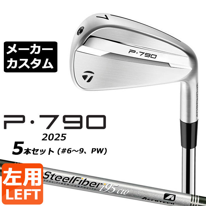 ᡼९ ơ顼ᥤ P790 2025  5ܥå(#6-PW)  SteelFiber ե ...