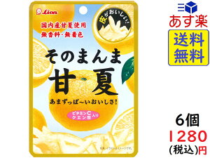 ライオン菓子 そのまんま甘夏 25g ×6個　賞味期限2022/07