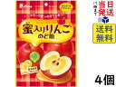 ライオン菓子 蜜入りりんごのど飴 62g ×4個賞味期限2024/09