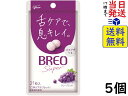 江崎グリコ ブレオ スーパー タブレット BREO SUPER (グレープミント) 17g ×5個 賞味期限2026/11