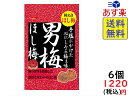 ノーベル 男梅 ほし梅 20g×6個　賞味期限2020/10