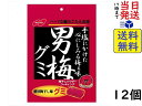 ノーベル製菓 男梅グミ 38g×12個賞味期限2026/03