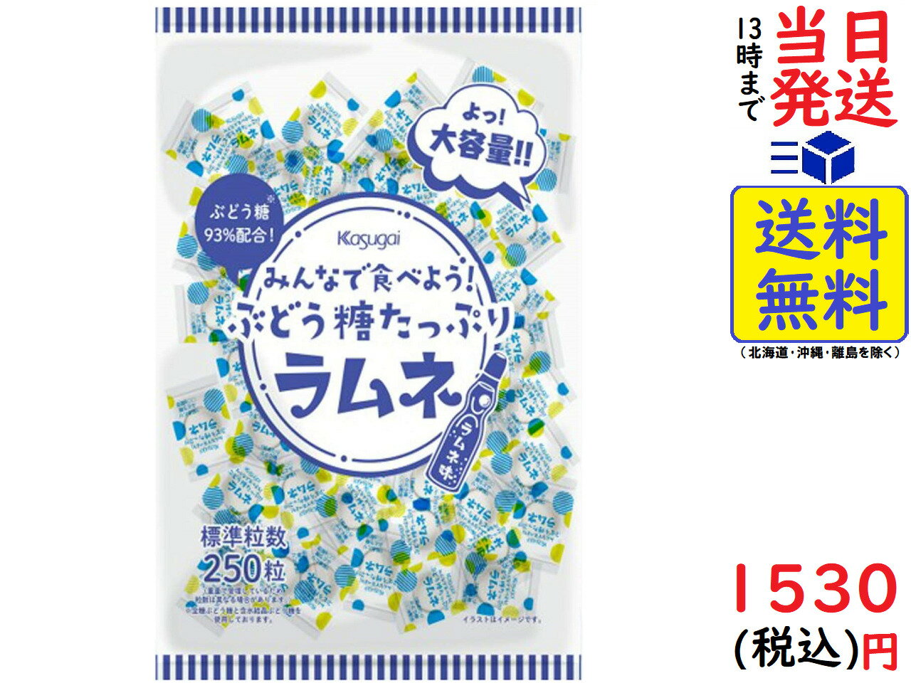 春日井製菓 みんなで食べよう!ぶどう糖たっぷりラムネ 550g賞味期限2024/02