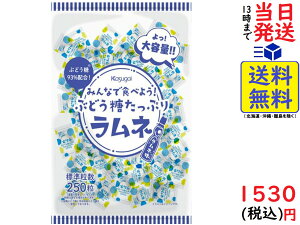 春日井製菓 みんなで食べよう!ぶどう糖たっぷりラムネ 550g賞味期限2024/02