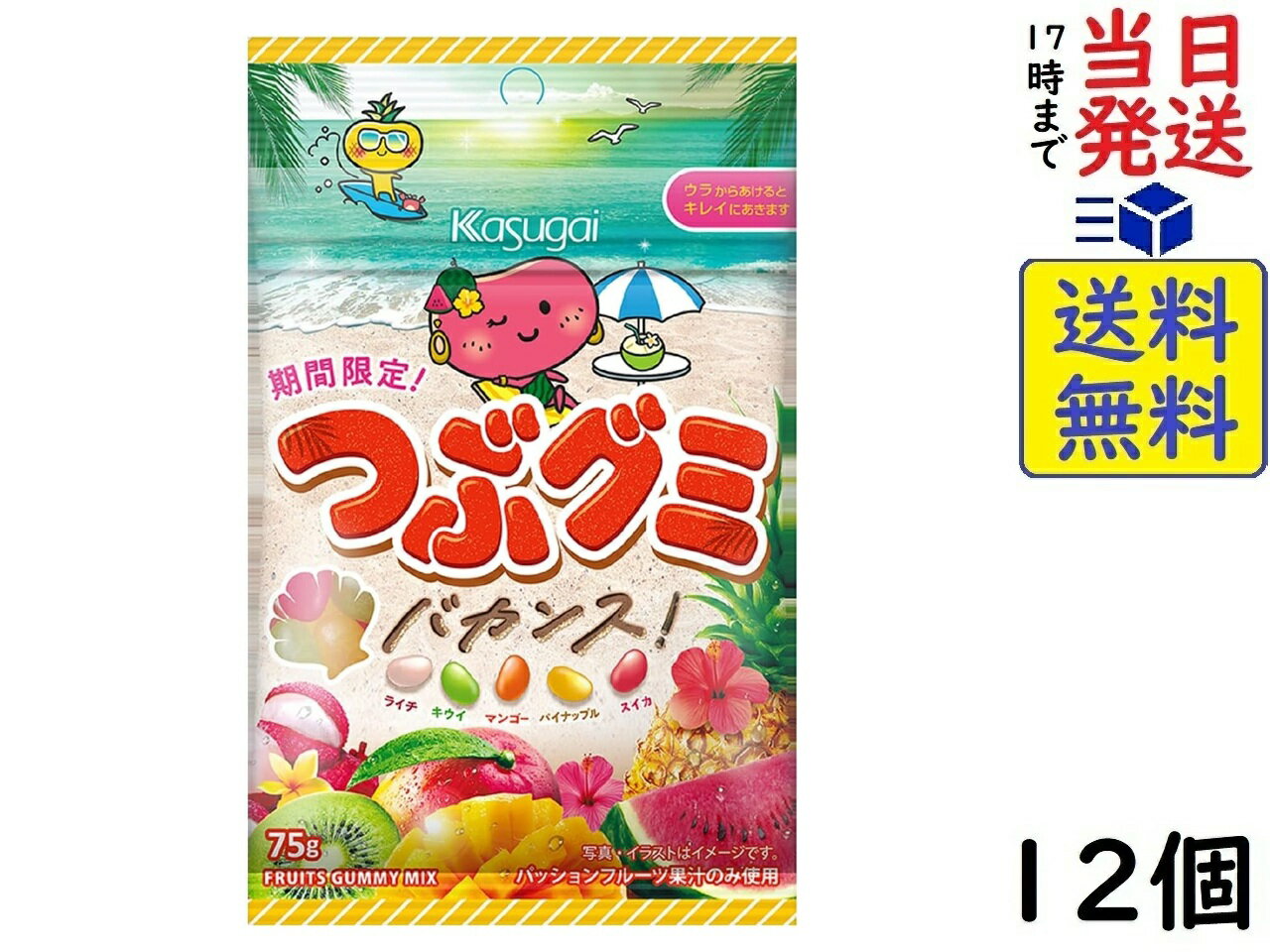 春日井製菓 つぶグミ バカンス 75g×12個 賞味期限2026/11