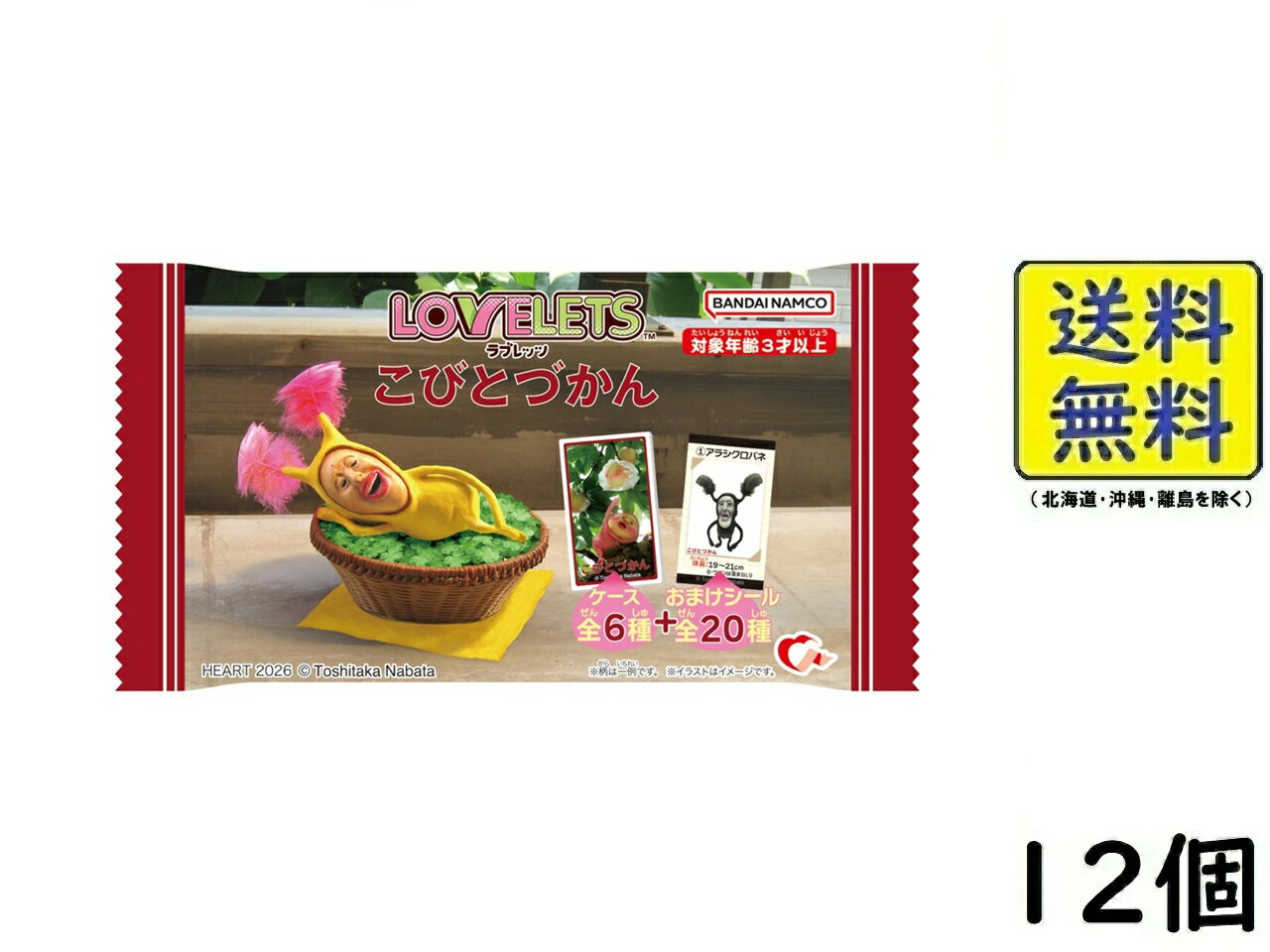 楽天市場】食玩 こびとづかんの通販