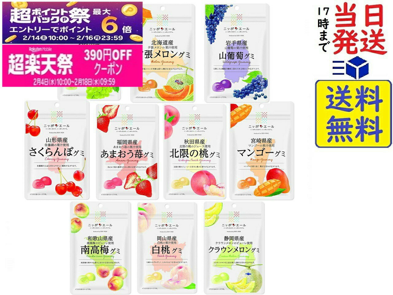 全農 ニッポンエールグミ 売れ筋 10種詰め合わせ賞味期限2026/10/22