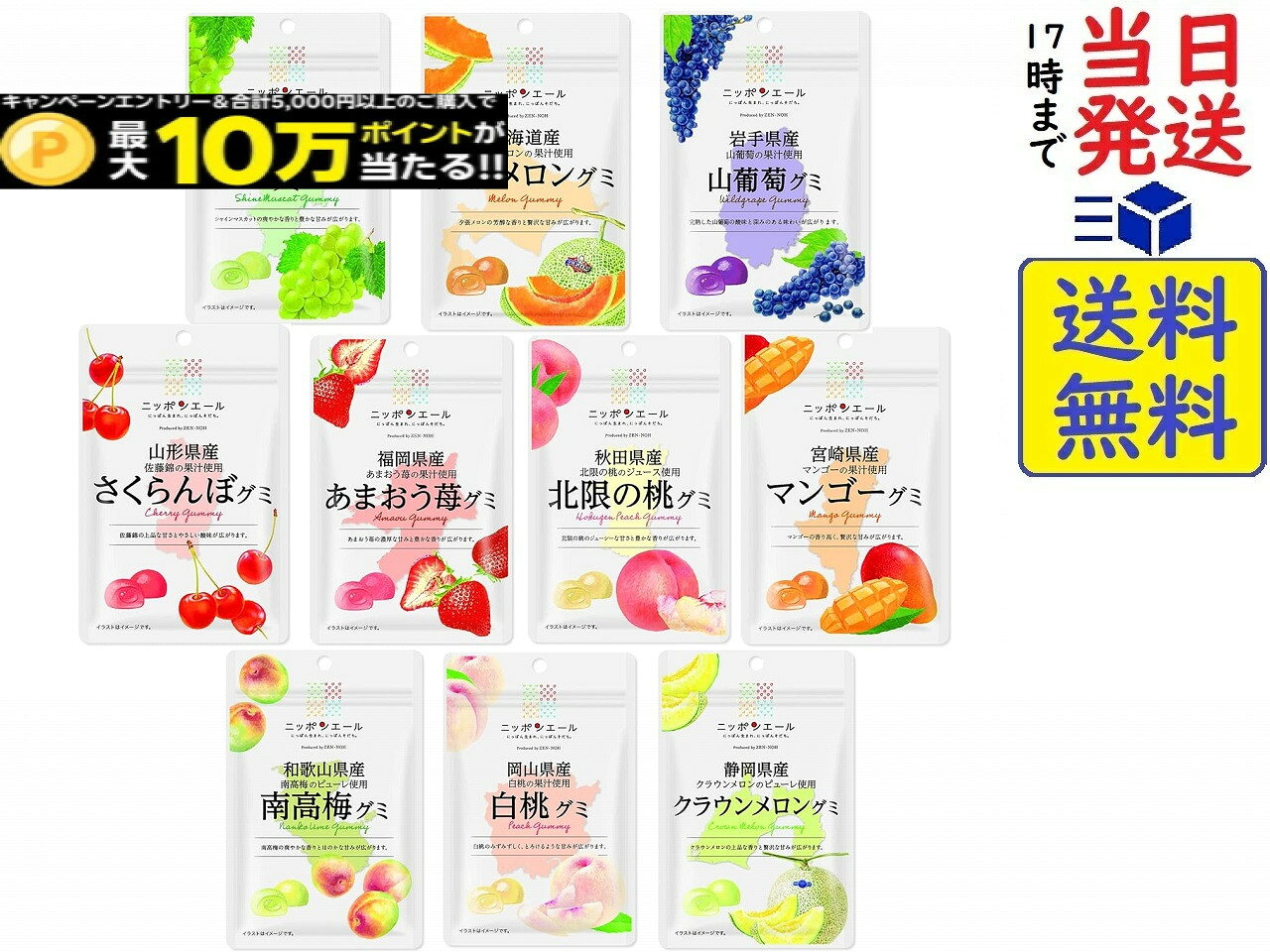 全農 ニッポンエールグミ 売れ筋 10種詰め合わせ賞味期限2027/05/12