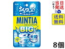 アサヒグループ食品 ミンティア アクアスパークBIG 20g ×8個賞味期限2024/06