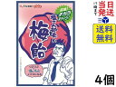 大丸本舗 塩こん部長の梅飴 50g ×5個賞味期限2026/06