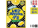 不二家 レモンスカッシュグミ 47g×10個 賞味期限2026/04