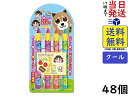 不二家 チョコえんぴつ 4本×48個 賞味期限2026/03
