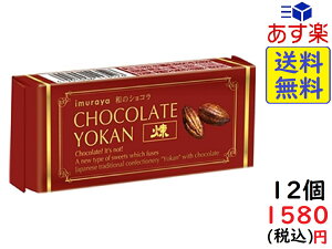 井村屋 チョコレートようかん 煉 55g×12個　賞味期限2023/03/27